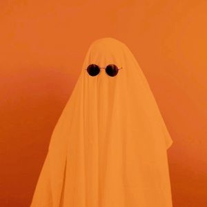 Meet your Posher, Kat